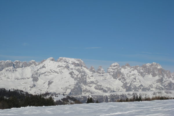 IMG_2243 IMG_2243